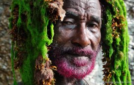 Volker Schaner: Lee Scratch Perry's Vision of Paradise