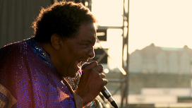 The Weird World of Blowfly