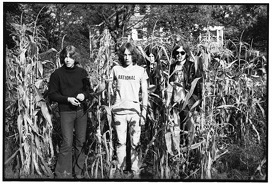Search and Destroy: Iggy & The Stooges' Raw Power