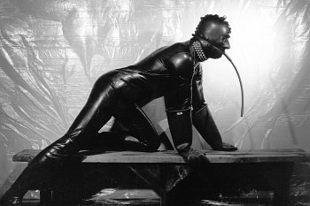 Fenton Bailey, Randy Barbato: Mapplethorpe: Look at the Pictures